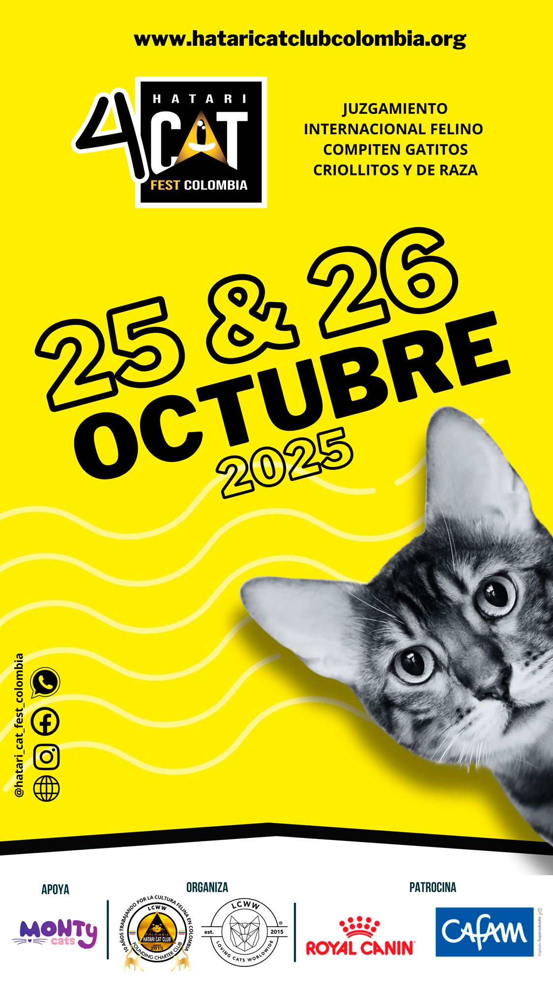CatFest
